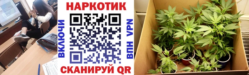 Наркошоп купить Гашиш  Cocaine  Alpha PVP  Мефедрон  Оленегорск